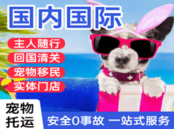 运城航空运输国际宠物托运 【国